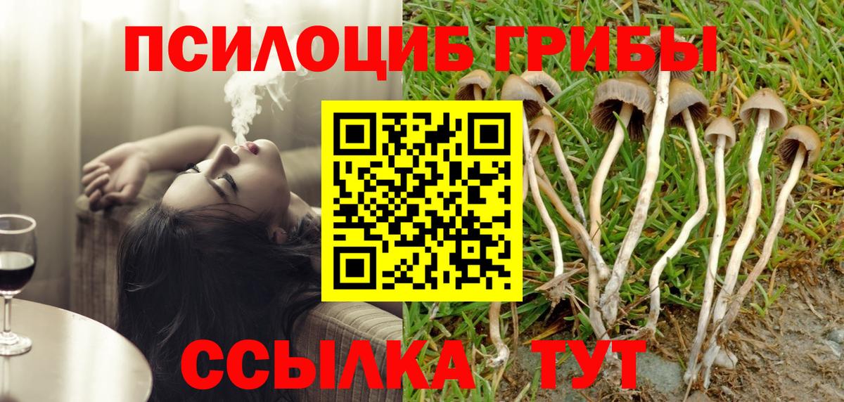 Псилоцибиновые грибы мухоморы  Галлюциногенные грибы Cubensis  Ачхой-Мартан 