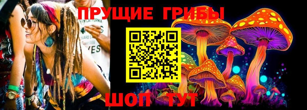 Ачхой-Мартан  Псилоцибиновые грибы мухоморы  Вход с VPN 